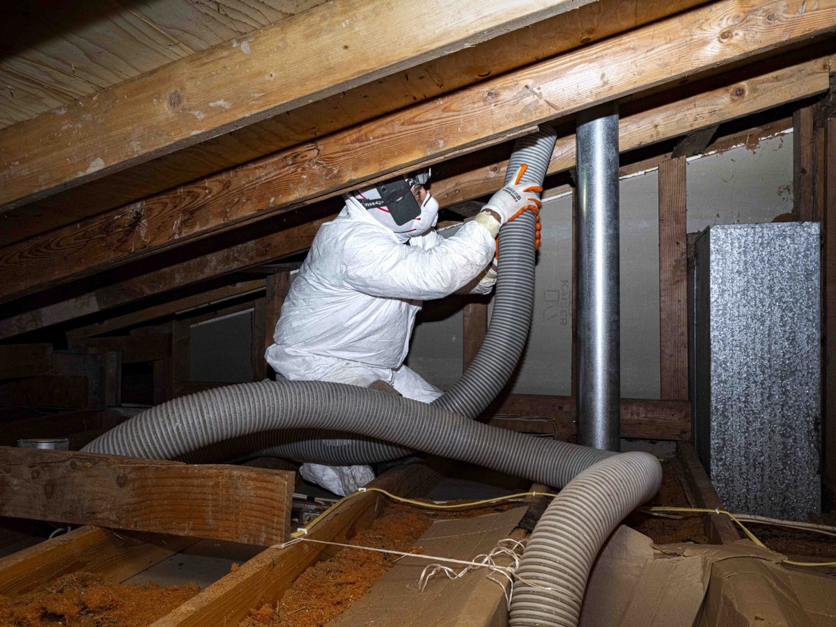 Technician removing rodent-contaminated attic insulation in Memphis, TN